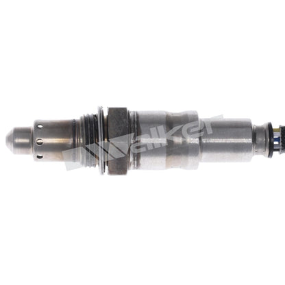 Walker 250-25176