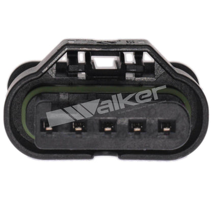 Walker 250-25176