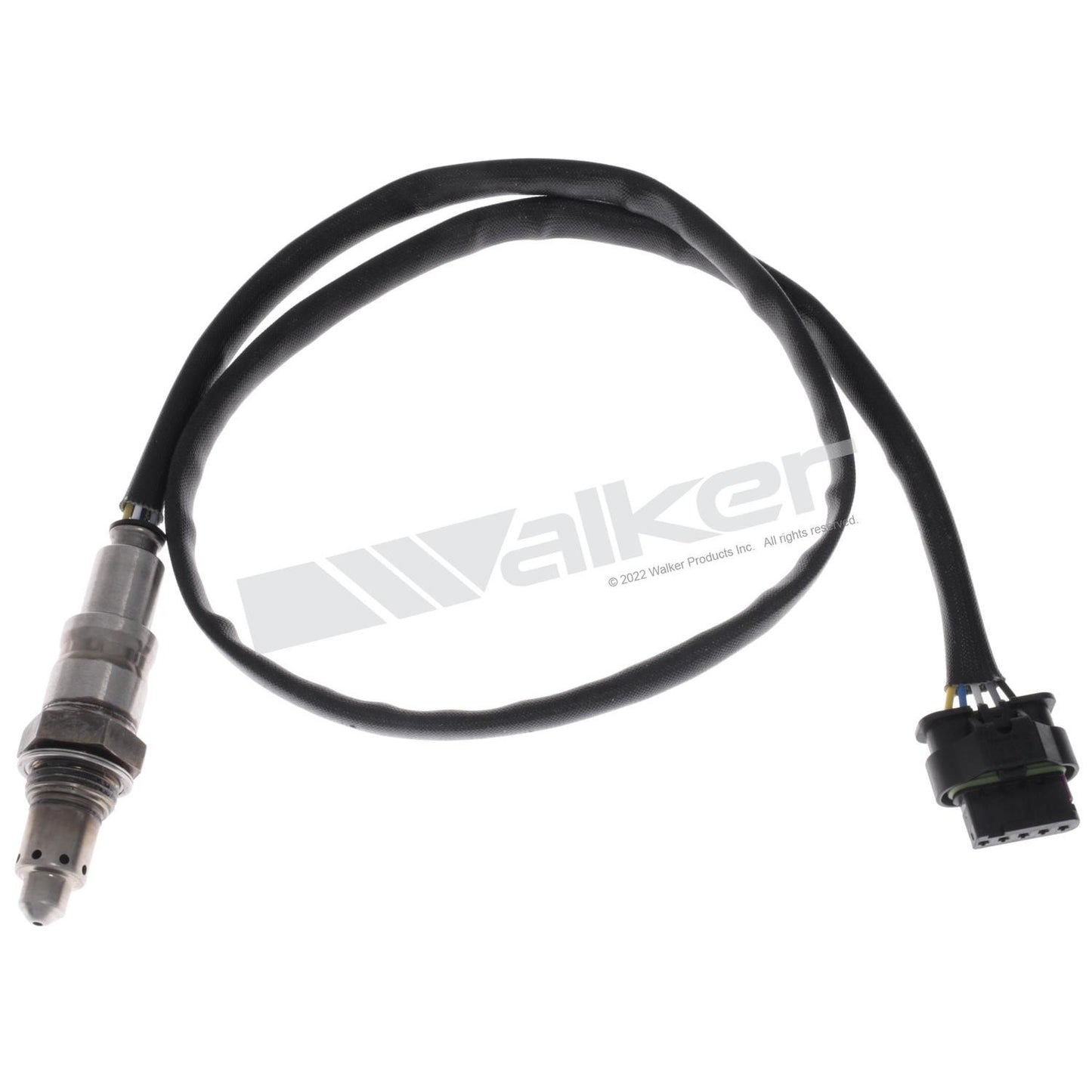Walker 250-25176