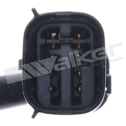 Walker 250-25202