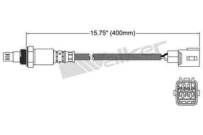 Walker Products Walker Products 250-54006 Oxygen Sensor 4-W Air Fuel Ratio 250-54006