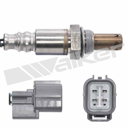Walker Oxygen Sensor
