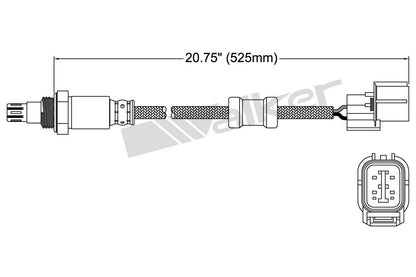 Walker Oxygen Sensor