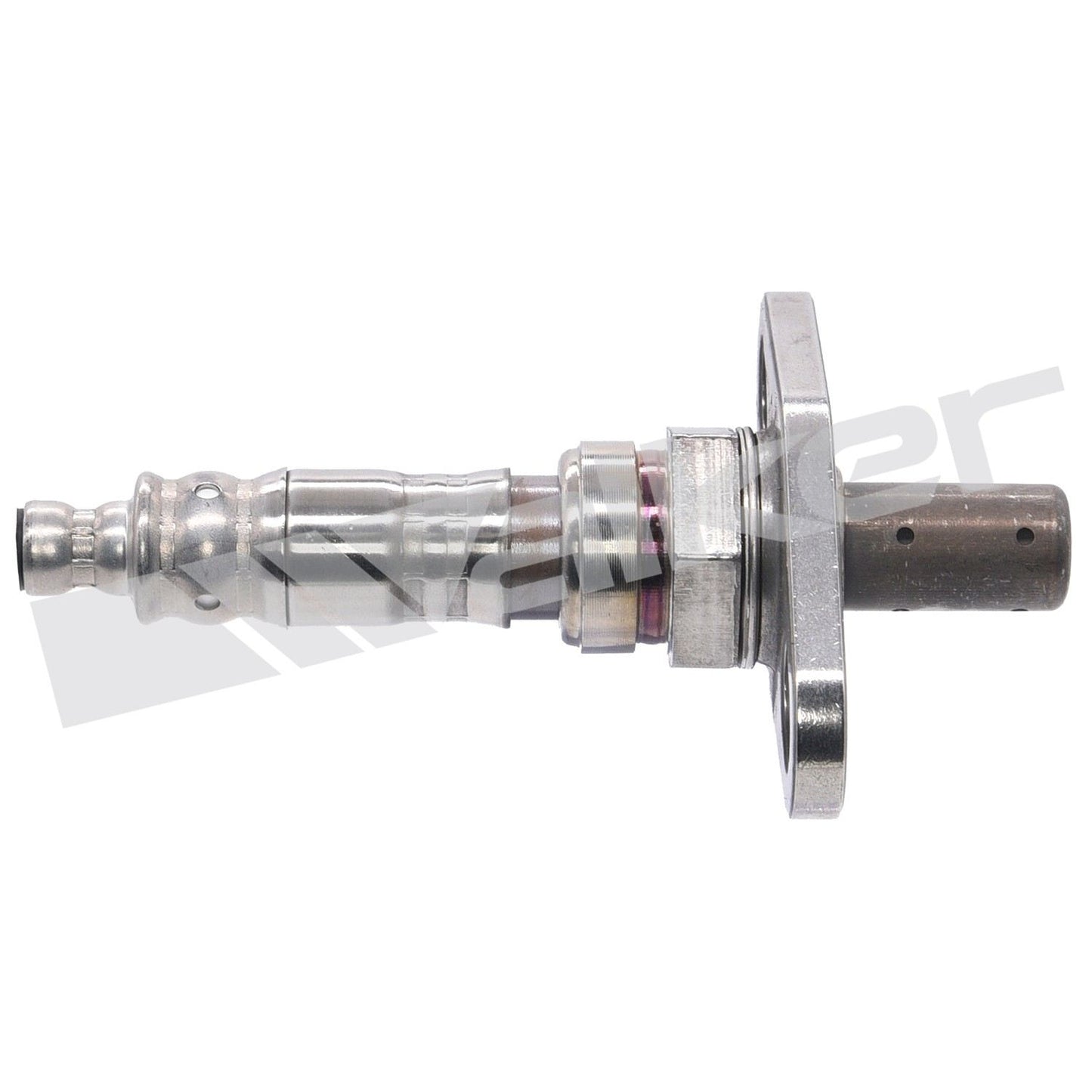 Walker Oxygen Sensor