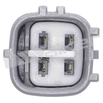 Walker Oxygen Sensor