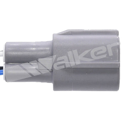 Walker Oxygen Sensor