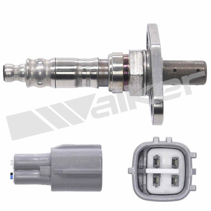Walker Oxygen Sensor