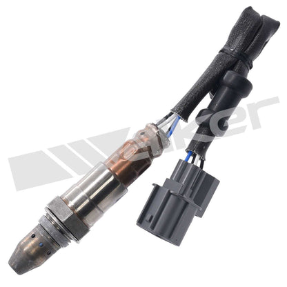 Walker Products Walker Products 250-54083 Oxygen Sensor 4-W Air Fuel Ratio 250-54083