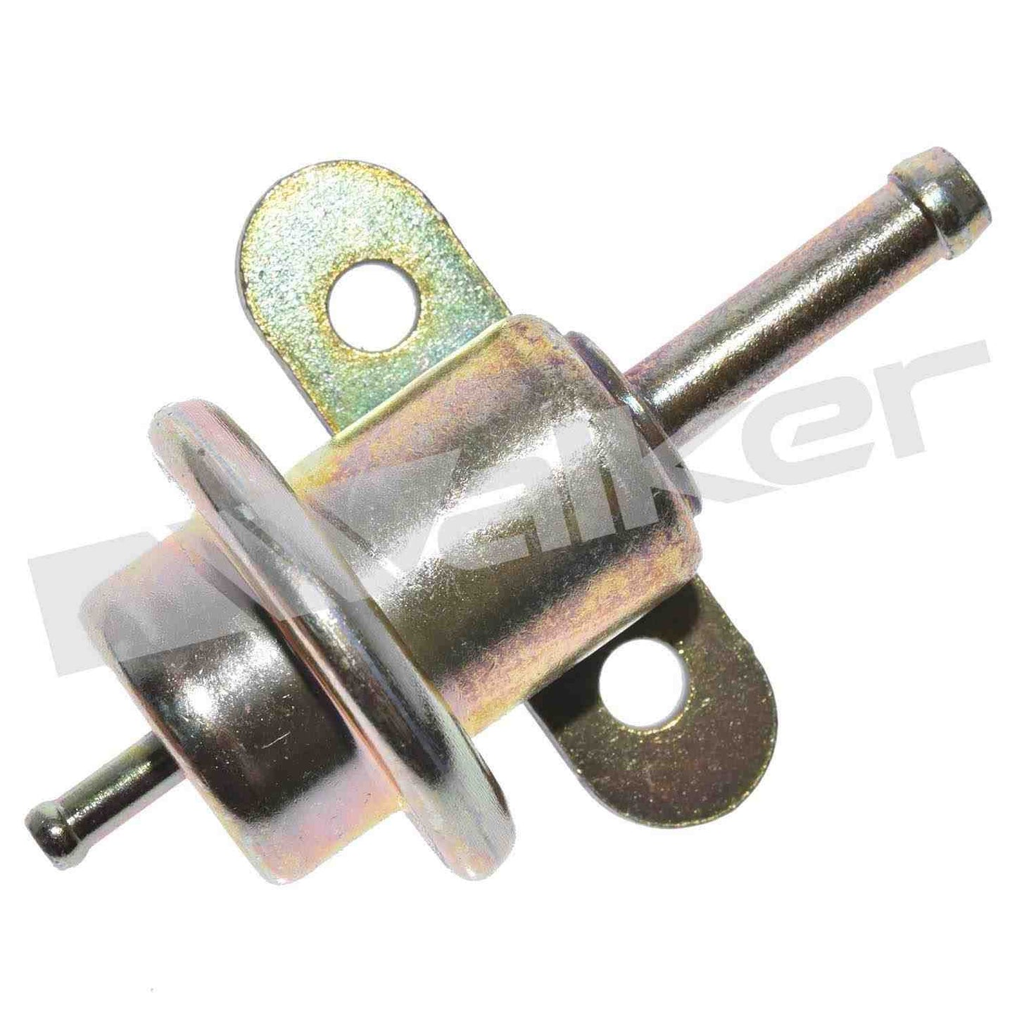 Walker 2551079