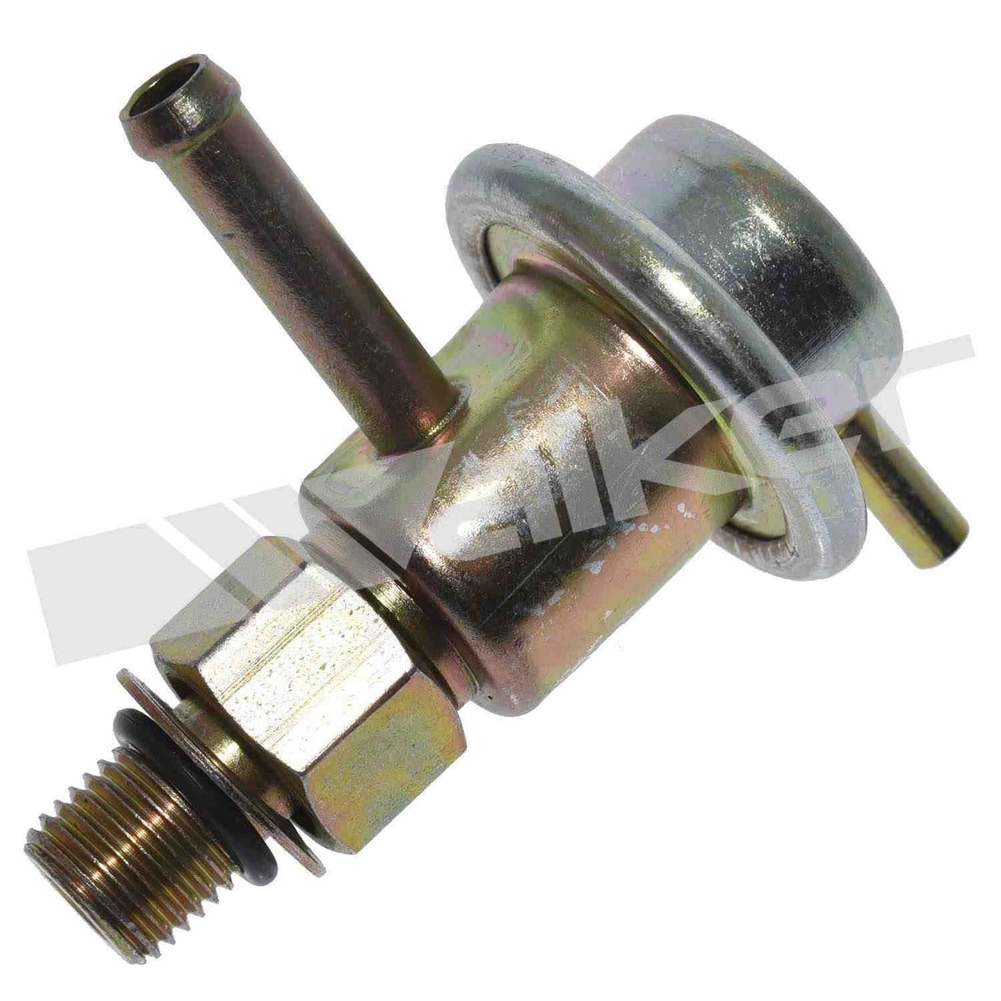 Walker 2551145