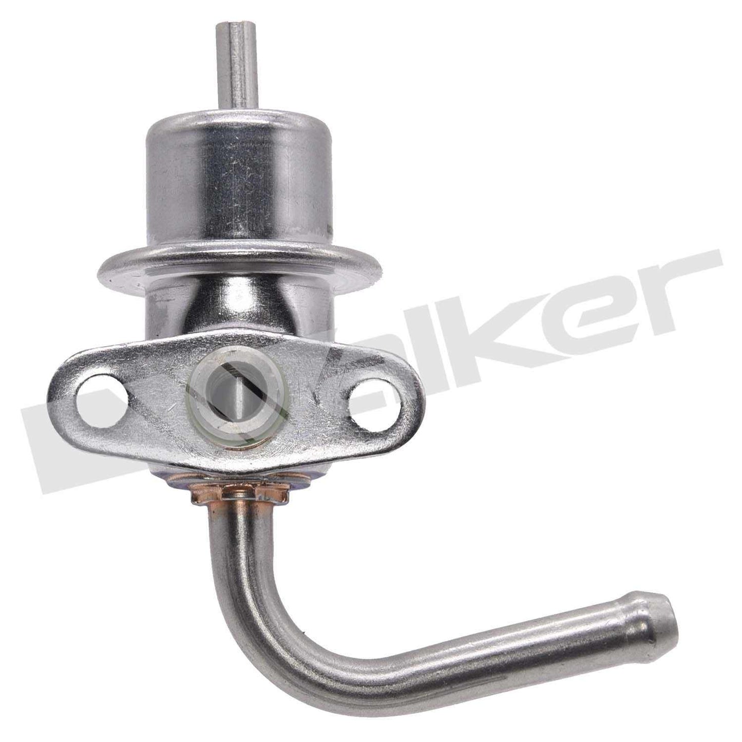 Walker 2551163