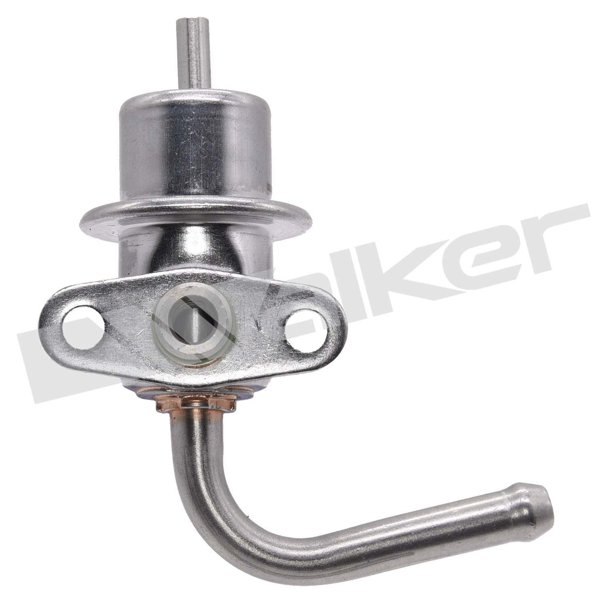 Walker 2551163