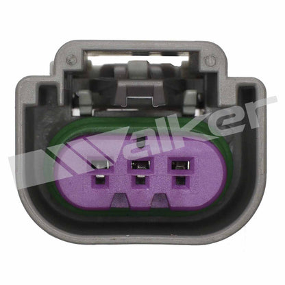 Walker Products Walker Products 270-1095 Electrical Pigtail 270-1095
