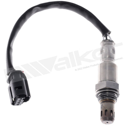 Walker Products 350-341000