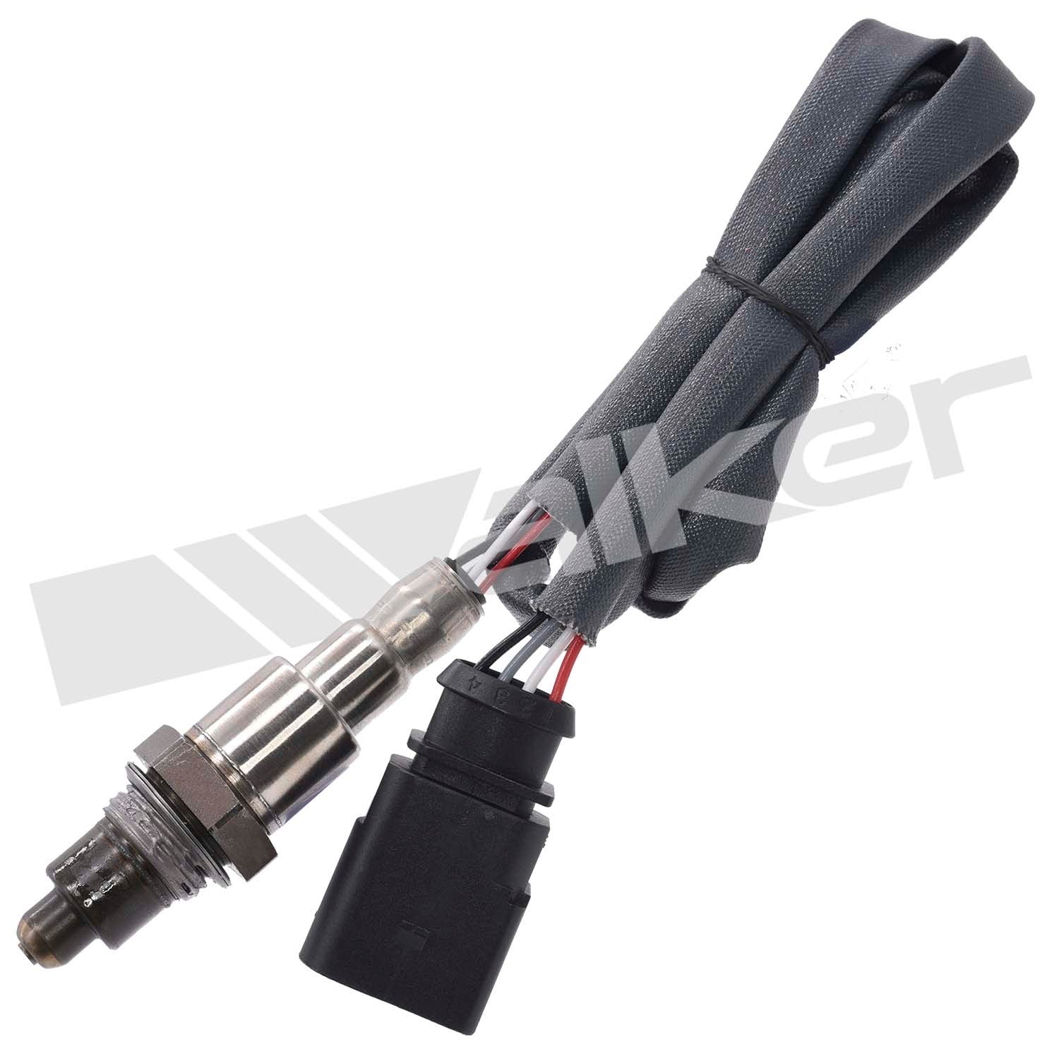 Walker 350341076 main image