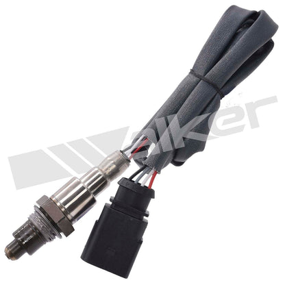 Walker 350341076 main image