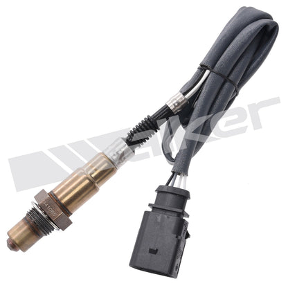 Walker 350341085