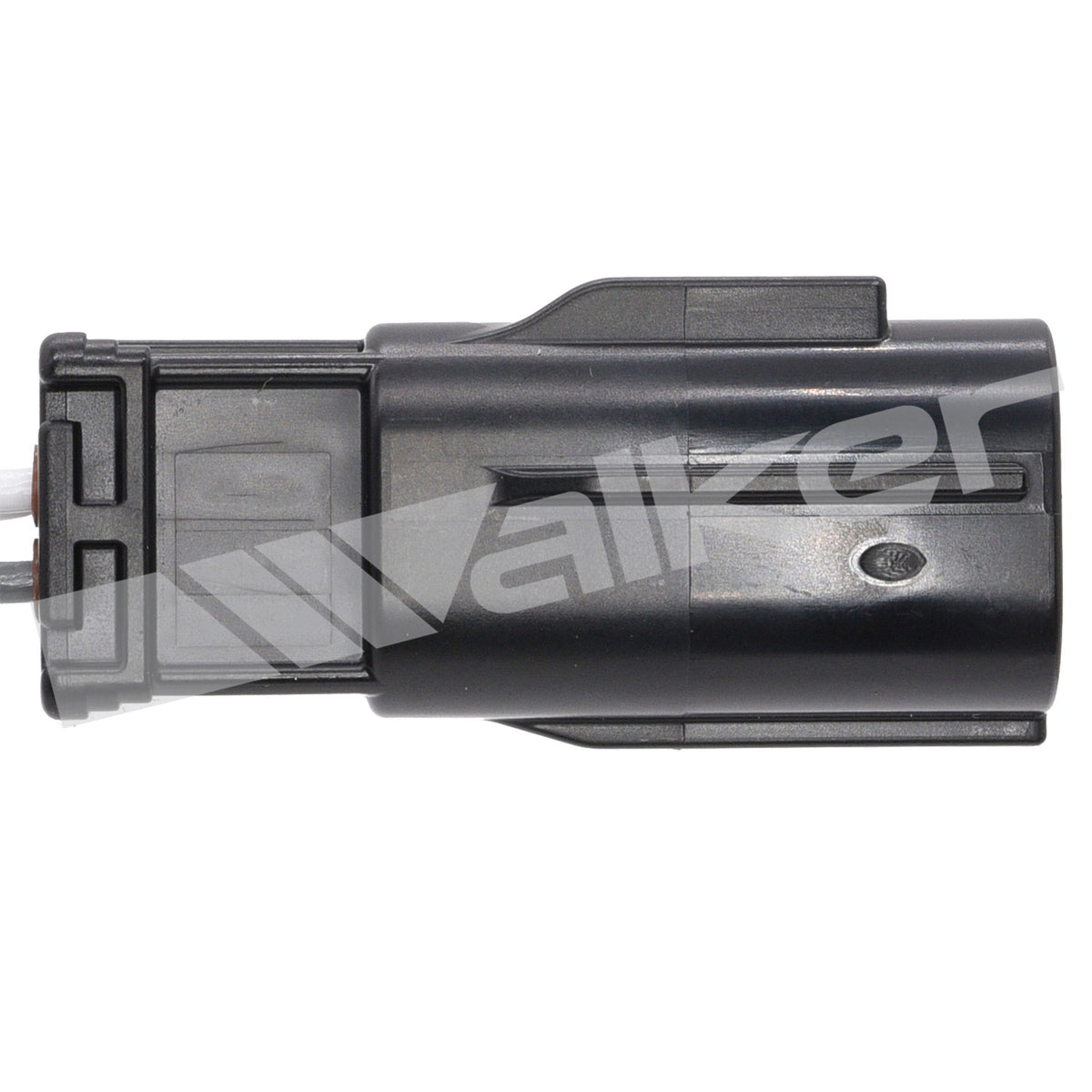 Walker 350341095