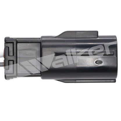 Walker 350341095