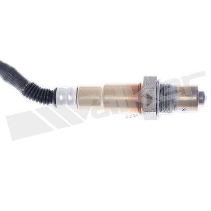 Walker Oxygen Sensor 350-34659