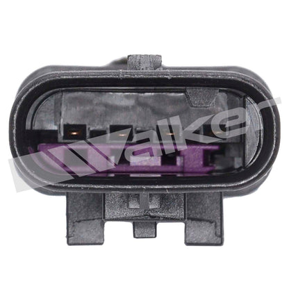 Walker 35034662
