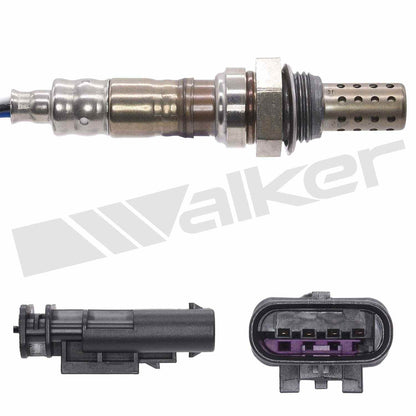 Walker 35034662