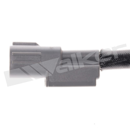 Walker 350-34667