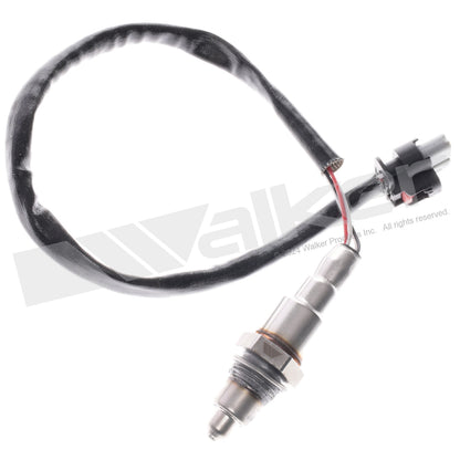 Walker Oxygen Sensor 350-34670