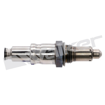 Walker 35035127