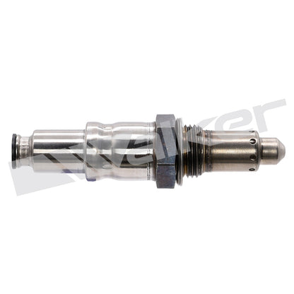 Walker 35035127