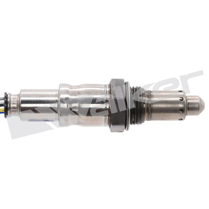 Walker Products 35035149