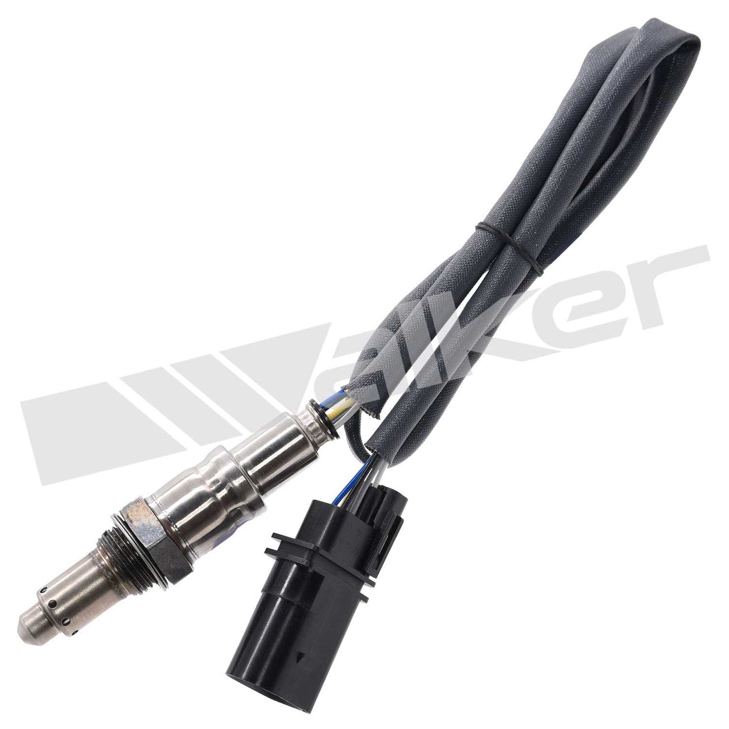 Walker 35035149