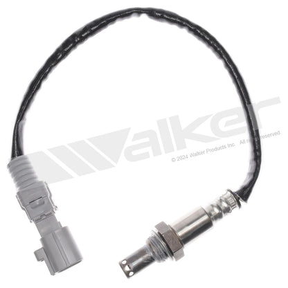 Walker 350-64110