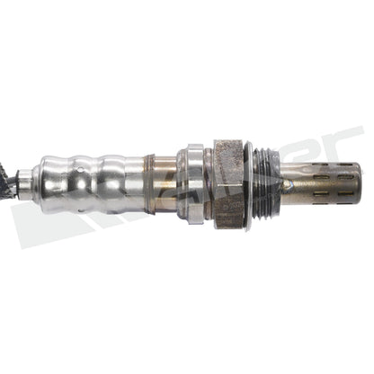 Walker Oxygen Sensor Set 350-84001