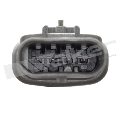 Walker Oxygen Sensor Set 350-84003