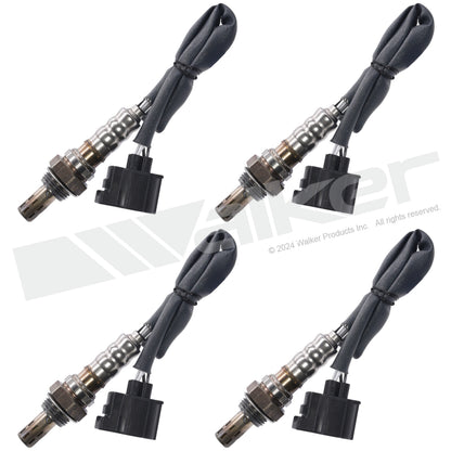 Walker Oxygen Sensor Set 350-84005