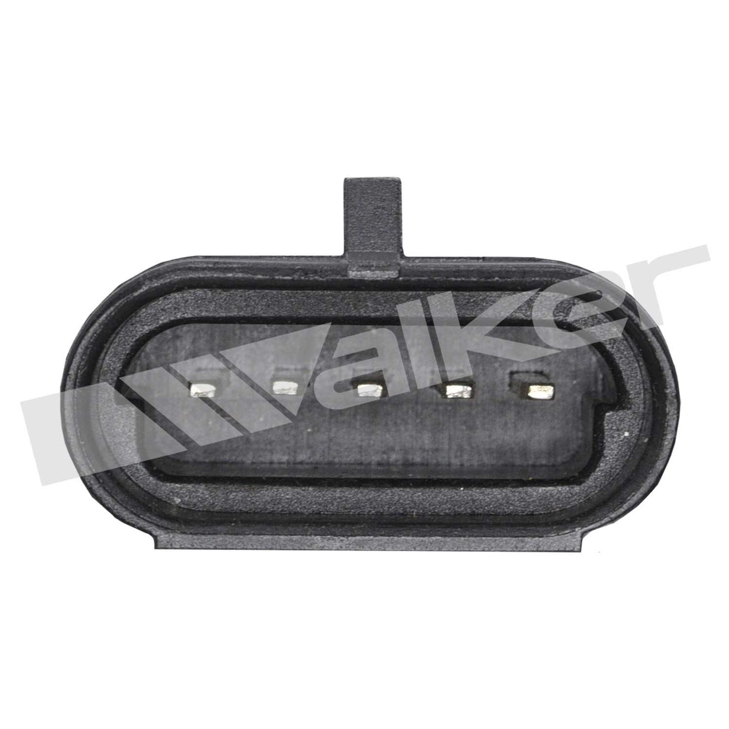 Walker Products 5705006