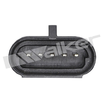 Walker 5705006