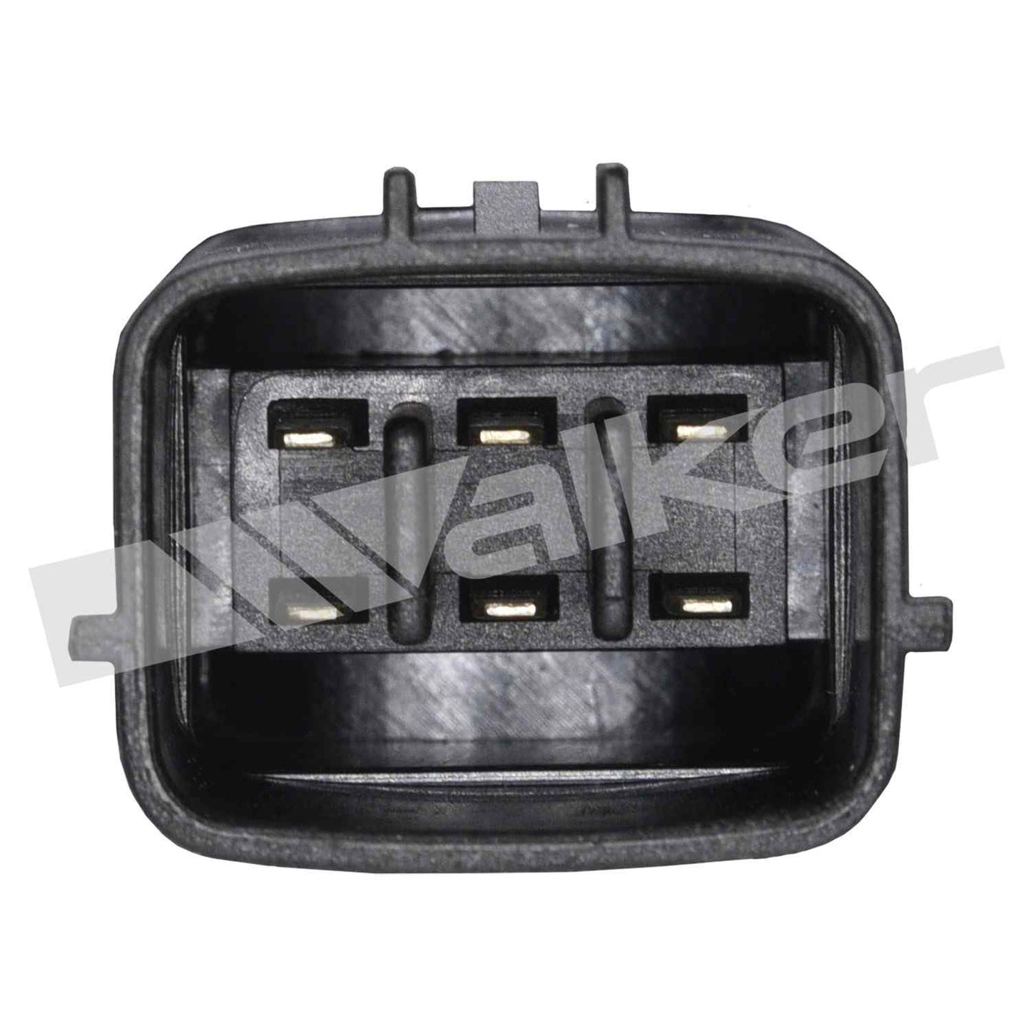 Walker Products 5705019