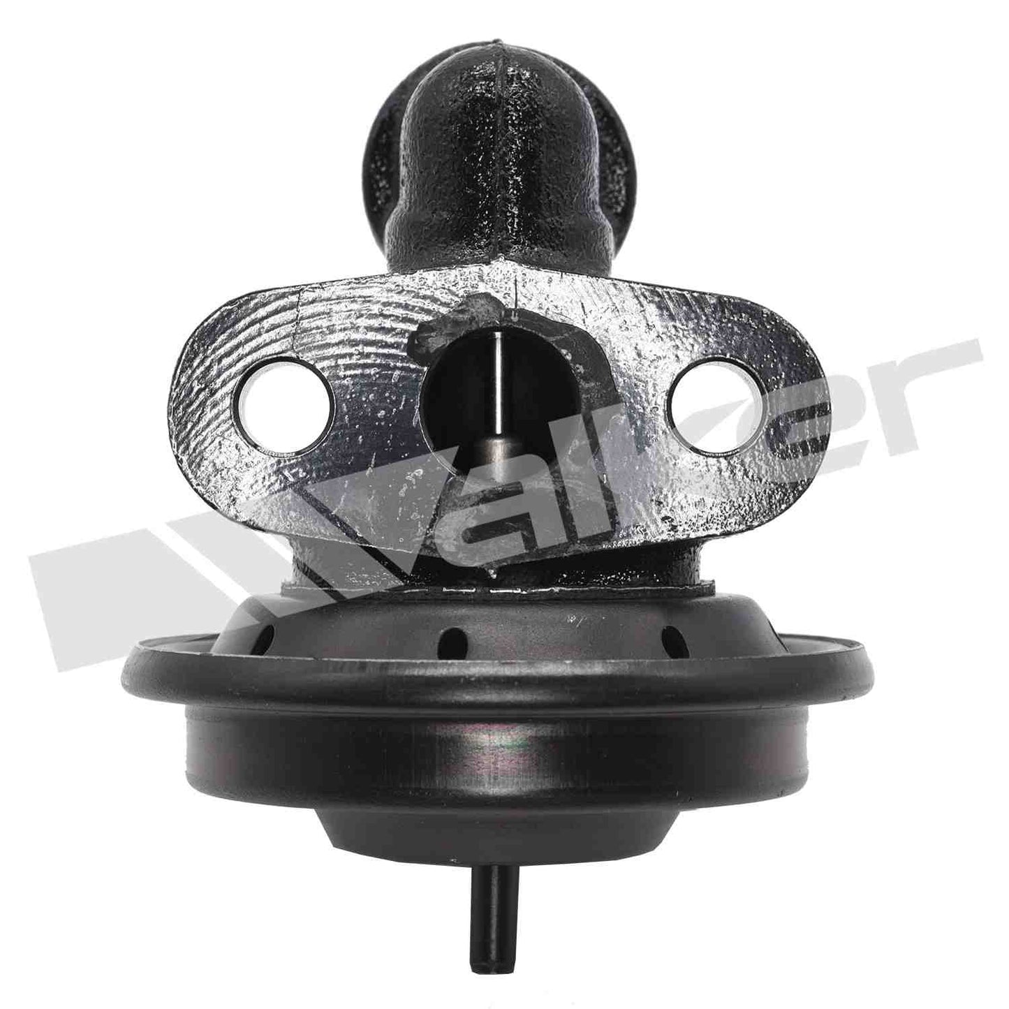 Walker Products 5705020