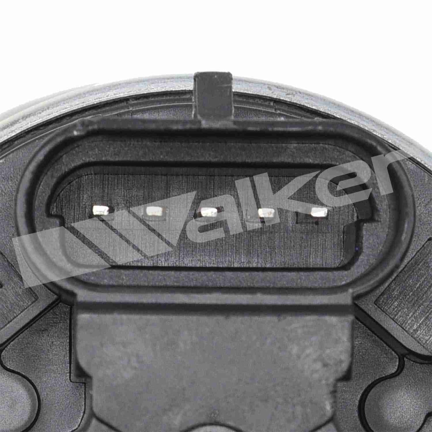 Walker Products Walker Products 570-5065 Exhaust Gas Recirculation Valve 570-5065