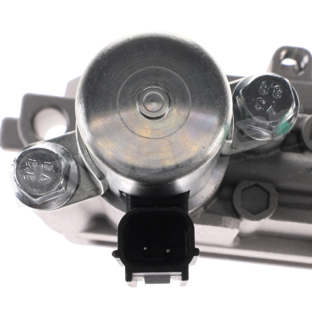 Walker Engine Variable Valve Timing (VVT) Solenoid 590-1137