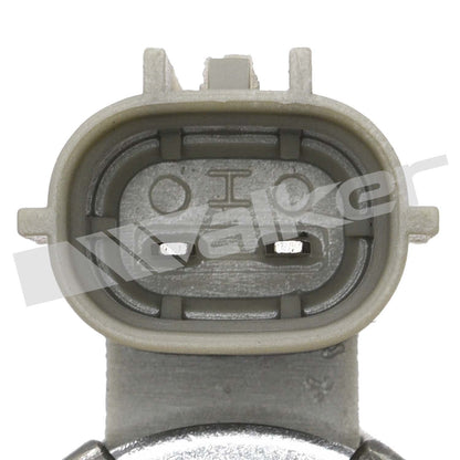 Walker Engine Variable Valve Timing (VVT) Solenoid 590-1194