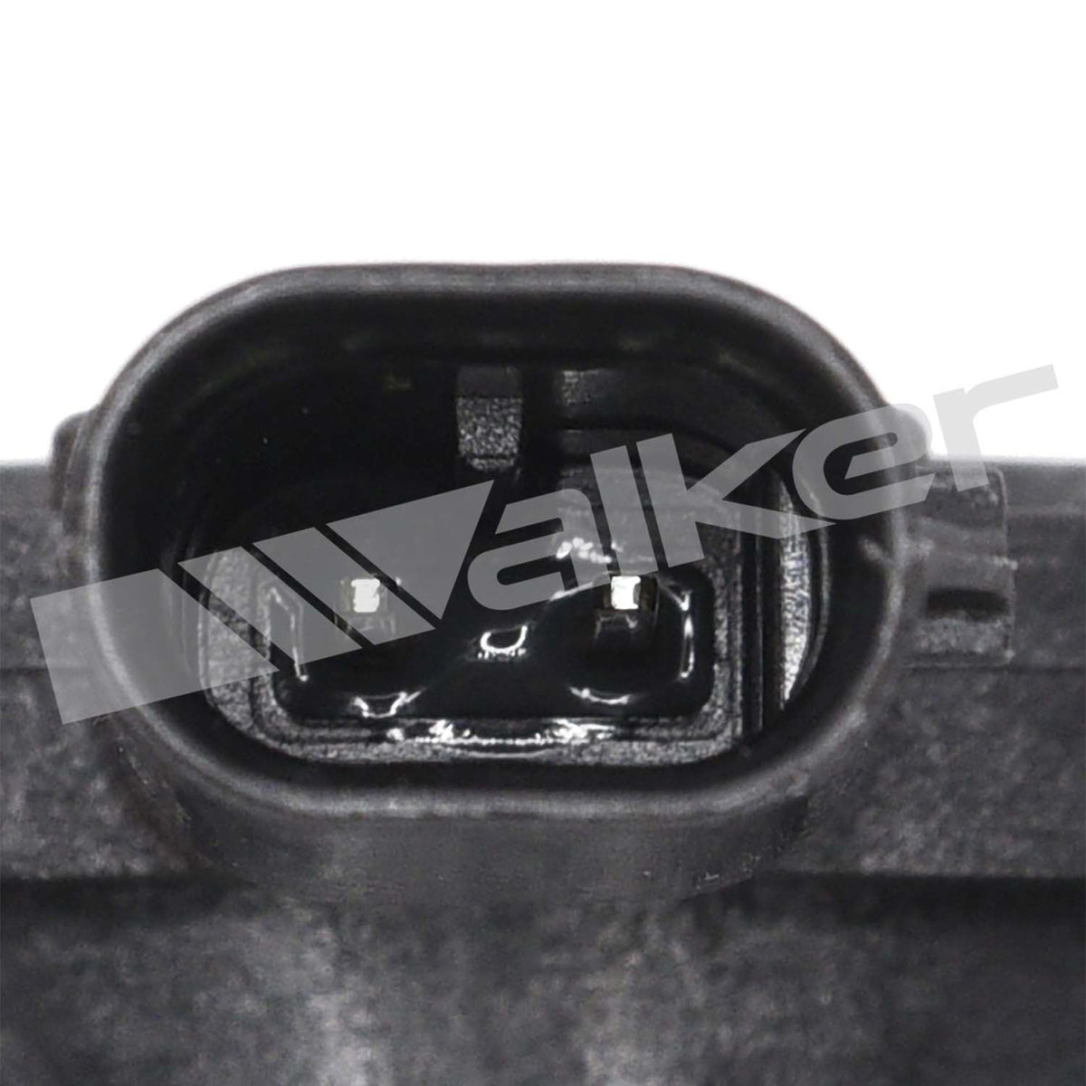 Walker Engine Variable Valve Timing (VVT) Solenoid 590-1405