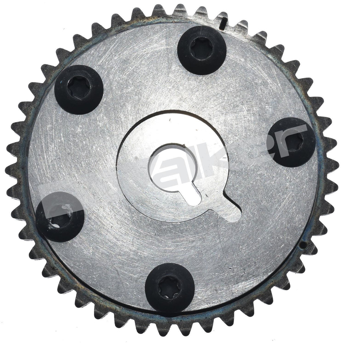 Walker Products Walker Products 595-1024 Engine Variable Valve Timing (VVT) Sprocket 595-1024