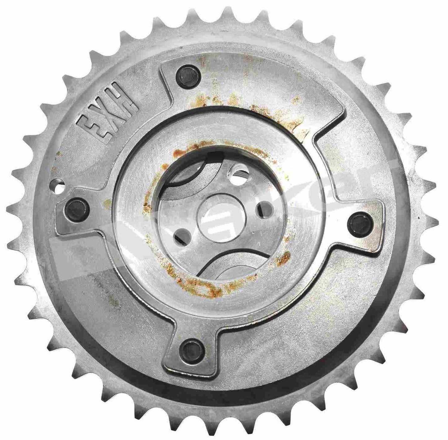 Walker Products Walker Products 595-1031 Engine Variable Valve Timing (VVT) Sprocket 595-1031