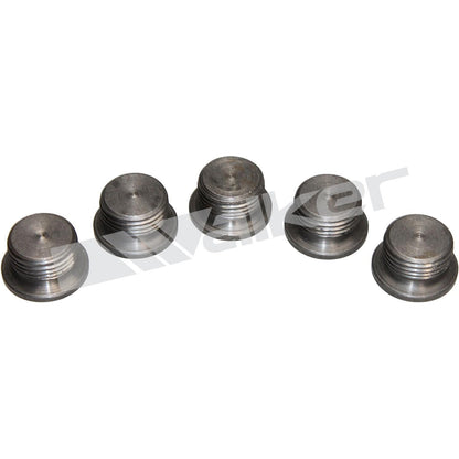 Walker Products Walker Products 90-200P Oxygen Sensor Bung Plug 90-200P