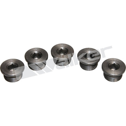 Walker Products Walker Products 90-200P Oxygen Sensor Bung Plug 90-200P