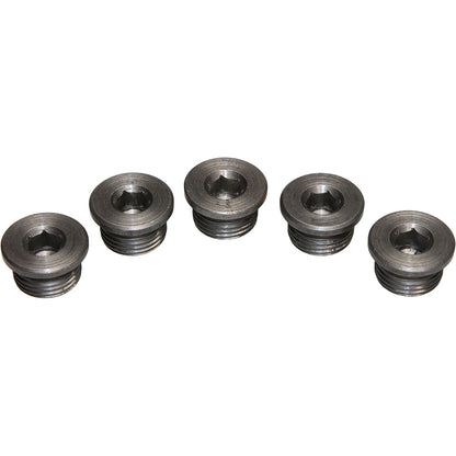 Walker Products Walker Products 90-200P Oxygen Sensor Bung Plug 90-200P