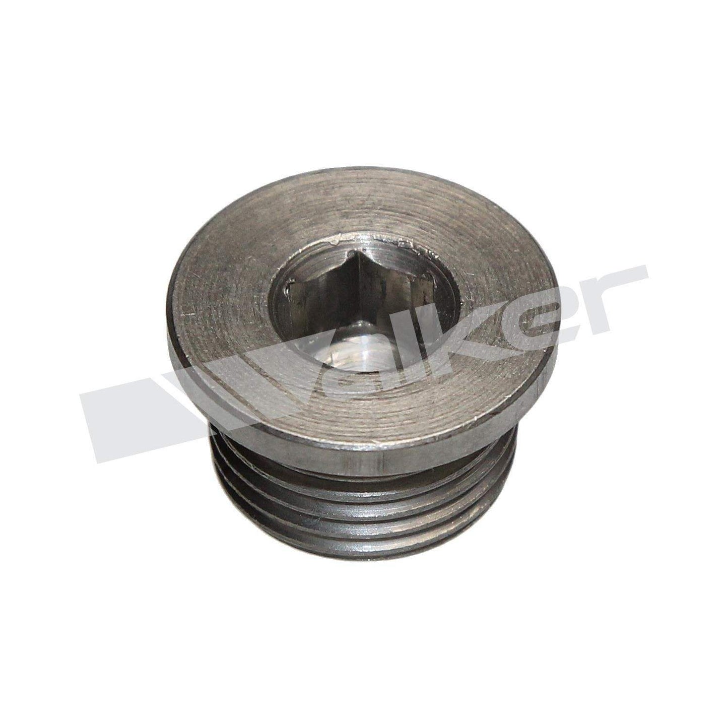 Walker Products Walker Products 90-200SS Oxygen Sensor Bung Plug 90-200SS